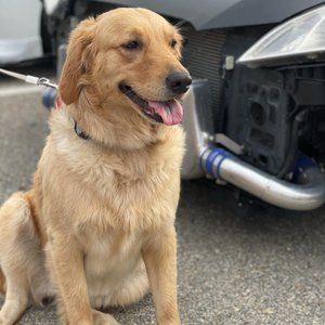 Meet your Posher, Pamela